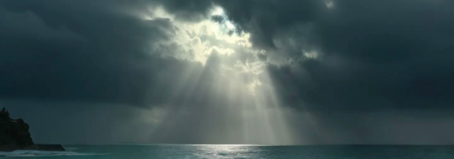 xd network Bot Banner