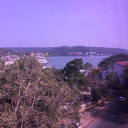 Dank Rockerz utilities Bot Icon