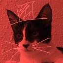 EmoteUniverse Bot Icon