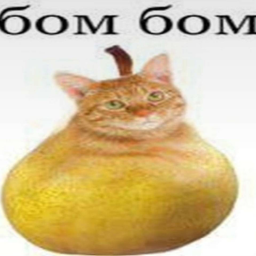 БОМБОМ БОТ Bot Icon