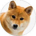 Wishlist Doggo Bot Icon