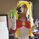 imad-botkkj Bot Icon