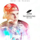 â—¢ â—¤ RIP Tim Bergling Bot Icon