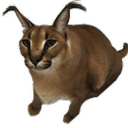 Floppa Inc. Bot Icon